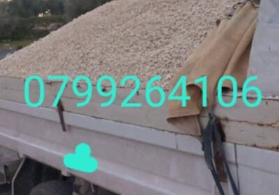 168a75f4-1a92-4287-a987-9db451a66d49