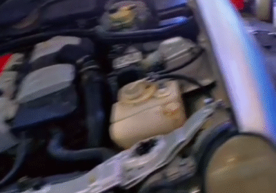 d3f87a1f-72c6-4824-a9d4-8c7e24b39d88